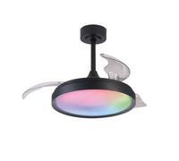 Mantra Iluminación Ventilateur plafonnier SIBERIA noir 40 W
