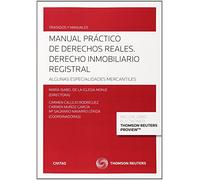 Manual Práctico de Derechos Reales. Derecho inmobiliario registral (Papel + e-book): Algunas especialidades mercantiles