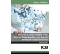 Manual Prevención De Riesgos Laborales. Sector Servicios: Riesgos Específicos Del Trabajo Con Pantallas De Visualización De Datos - ICB Editores Icb Editores (Auteur)