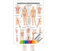 Manuel drainage lymphatique des jambes mini poster anatomie 34 x 24 cm et matériels médicaux mit Laminierung