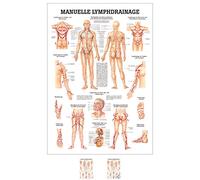 Manuel drainage lymphatique des jambes mini poster anatomie 34 x 24 cm et matériels médicaux ohne Laminierung