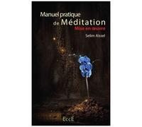 Manuel Pratique De Méditation - Tome 3, Mise En Oeuvre