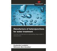 Manufacture of heterojunctions for water treatment: From multi-step fabrication to understanding charge transfer in heterojunctions