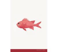 Manuscript Book: Twelve Staves per Page | Blank Manuscript Paper, A4, 120 Pages | Red Fish Edition