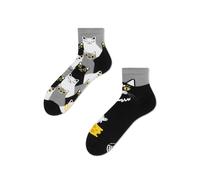 Many Mornings Black Cat Quarter-35-38, Black Cat Quarter, 35-38