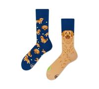 Many Mornings Chaussettes Amusantes Colorées Femmes Hommes 35-38 Golden Boy Motif Chien Labrador Chaussettes Dépareillées en Coton pour Amoureux des Chiens