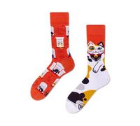 Many Mornings - City Cat - Chat urbain - Chaussettes mismatched