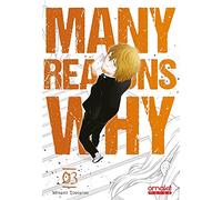 Many Reasons Why - tome 3 (VF) (3)