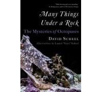 Many Things Under A Rock