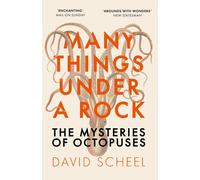 Many Things Under A Rock