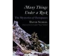 Many Things Under A Rock