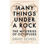 Many Things Under a Rock: The ‘mind-blowing’ book that reveals the mysteries of the octopus, perfect for all science enthusiasts and fans of David Attenborough