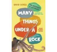 Many Things Under A Rock Young Readers Edition