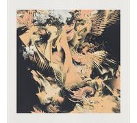 Many Voices Speak Gestures (Vinyl) 12" Album