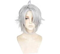 MAOMA Perruque Cosplay Anime，IDOLiSH7 Yaotome Gaku Perruque，Silver Gray Fluffy Short Perruque，avec Filet de Cheveux Gratuit，pour Fête Carnaval Halloween Perruques