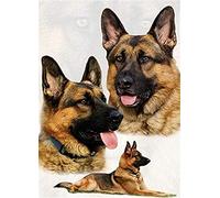 Maoyo Diamond Painting Kit, Peinture au diamant, Strass, Berger allemand chien, 30x40 cm, Adulte et Enfant, Non pliable
