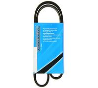 Mapco 240995 Courroie trapézoïdale à nervures