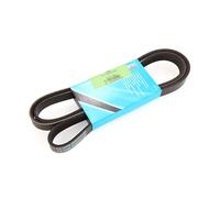 MAPCO 261965 Courroie Poly-V