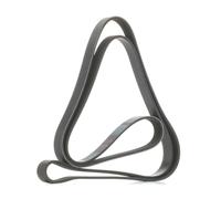 MAPCO 262125 Courroie Poly-V