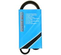 MAPCO Courroie à nervures trapézoïdales 230825