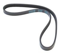 MAPCO Courroie à nervures trapézoïdales 240763 Compatible avec: ALFA ROMEO 164, FIAT CROMA, HONDA INTEGRA Coupe, LANCIA THEMA, THEMA SW, MITSUBISHI COLT IV, LANCER IV Schrägheck, LANCER V