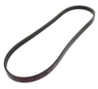 MAPCO Courroie à nervures trapézoïdales 240917E