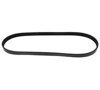 MAPCO Courroie à nervures trapézoïdales 250890 Compatible avec: BMW 3, 3 Cabriolet, 3 Coupe, 3 Touring, 5, 5, 5 Touring, 7, CITROËN BERLINGO/BERLINGO FIRST Großraumlimousine (MF_, GJK_, GFK_