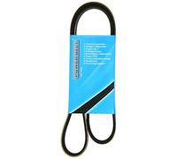 MAPCO Courroie à nervures trapézoïdales 251165 Compatible avec: BMW 7, 7, 8, CITROËN XM, XM, XM Break, XM Break, FORD USA PROBE II, MAZDA 626 V, 626 V Hatchback, 626 V Station Wagon, PEUGEOT 605