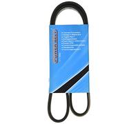MAPCO Courroie à nervures trapézoïdales 261060 | Compatible avec: ALFA ROMEO 147, 156, 156 Sportwagon, GT, GTV, SPIDER, CHRYSLER 300M, CONCORDE, CITROËN XANTIA, ZX, ZX Break
