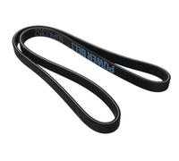 MAPCO Courroie à nervures trapézoïdales 261352D Compatible avec: SEAT TOLEDO II, VW BORA I, BORA Variant, GOLF IV, GOLF IV Variant