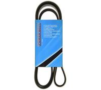 MAPCO Courroie à nervures trapézoïdales 261650