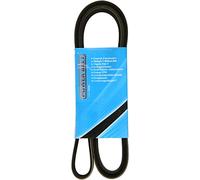 MAPCO Courroie à nervures trapézoïdales 261755 Compatible avec: CITROËN BERLINGO/BERLINGO FIRST Großraumlimousine (MF_, GJK_, GFK_, C5 I, C5 I Break, XANTIA, XANTIA Break, XSARA, XSARA Break