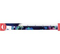 Maped Règle plate DEEPSEA PARADISE 300 mm en plastique
