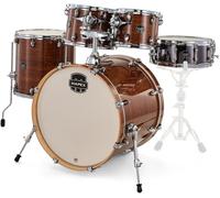 armory pop rock 5 Fûts roasted chest