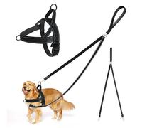 Mapille Harnais et Laisse pour Chien, Ensemble Réglable avec Laisse Anti-Traction, Réfléchissant, pour Moyen et Grand Chien, Noir, Taille M