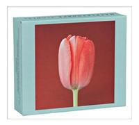 Mapplethorpe Flowers QuickNotes by The Robert Mapplethorpe Foundation The Robert Mapplethorpe Foundation (Auteur)