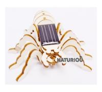 Maquette araignée solaire Héliobil
