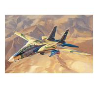 Maquette Avion : Avion De Chasse Américain Persian Cat F-14a Tomcat-Iriaf-Hobby Boss