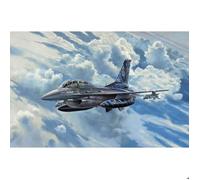 Revell-F-16D Tigermeet 2014, 1:72, 21,3 cm Maquette Avion, 03844, Multicolore