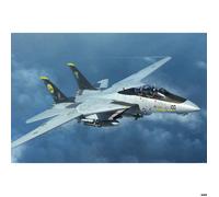 Maquette Avion Militaire : F-14D Tomcat