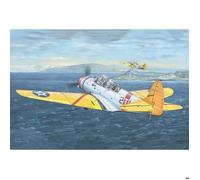 Maquette avion militaire : TBD-1 Devastator