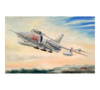 Maquette Avion : Nanchang Q-5c-Trumpeter