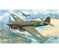 Maquette Avion : P-40E War Hawk