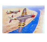 Maquette Avion : Westland Wyvern S.4-Trumpeter