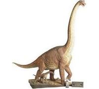Maquette de dinosaure Tamiya 300060106 Brachiosaure 1:35 G