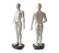 Maquette de point d'acupuncture - Diagramme du corps humain 50cm avec code anglais gravé pour massage méridien et carte aiguille, matériau souple