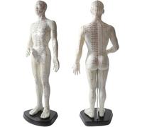 Maquette de point d'acupuncture - Diagramme du corps humain 50cm avec code anglais gravé pour massage méridien et carte aiguille, matériau souple