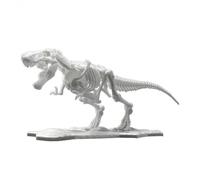 Maquette Dinosaure - Skeleton Tyrannosaurus