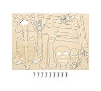 Maquette du Corps Humain pour | Jouet Éducatif De Montage,Structure Squelettique,Figure du Corps Humain pour Étude Scientifique Décoration Halloween