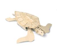 Maquette En Bois Tortue
